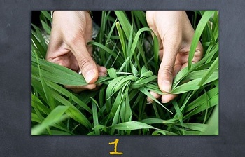 first conditional-grass-tie