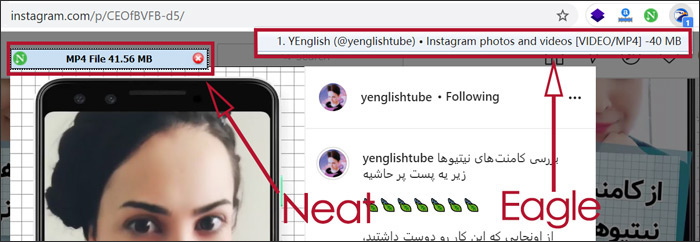 eagleget-neat-download-manager