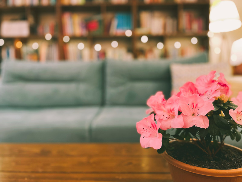 نوروز-به-انگلیسی